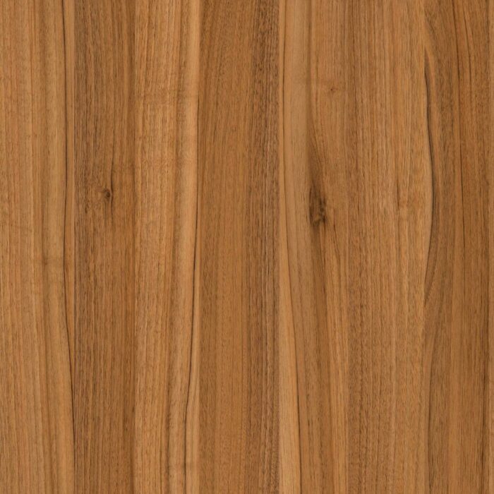 Acacia - 7032